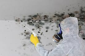 Why You Should Choose Our Mold Remediation Services in Blakely, PA